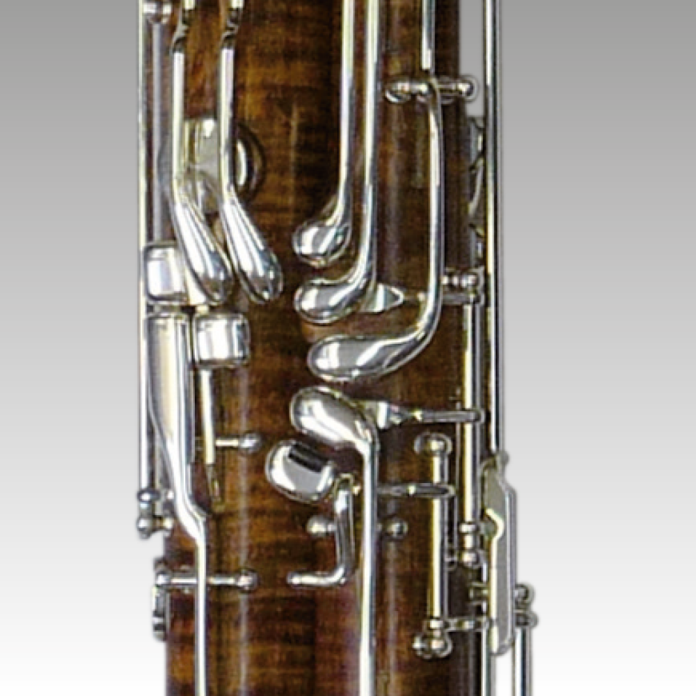 Bassoon S 2000 Plus Left Hand Back